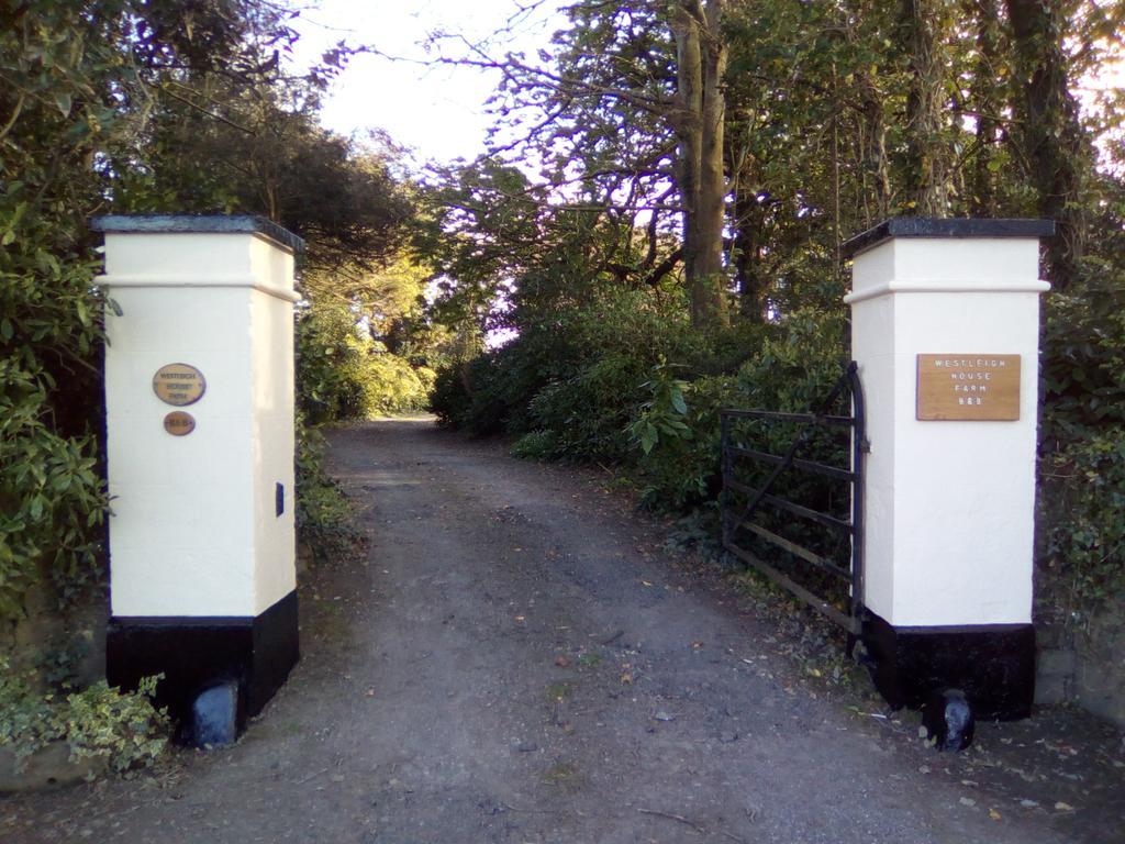 比迪福德Westleigh House Farm住宿加早餐旅馆 外观 照片